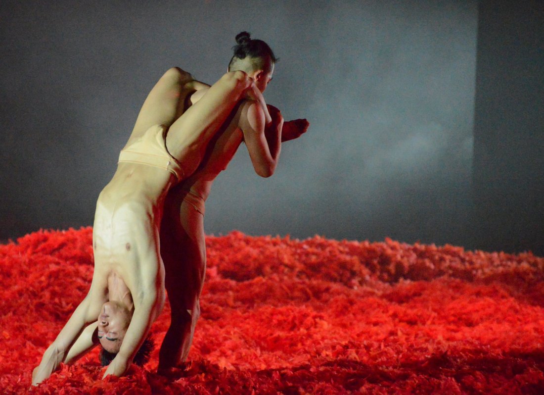 31363241_10156299847604161_585329159689994240_o