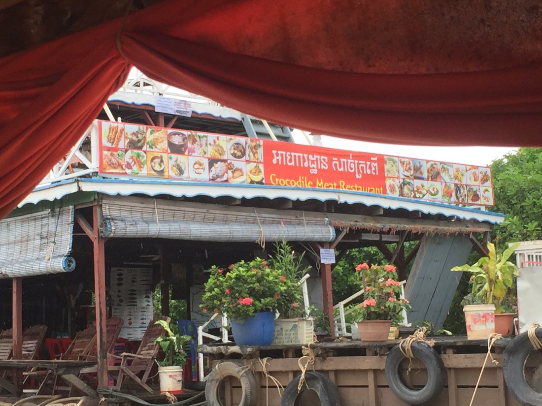 48711877228_a488d65fe1_k