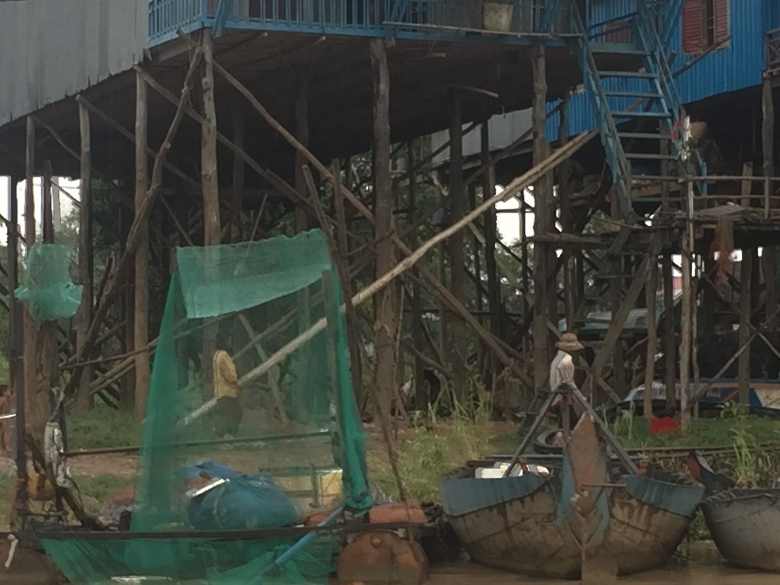 48712364491_d26aea4a95_k