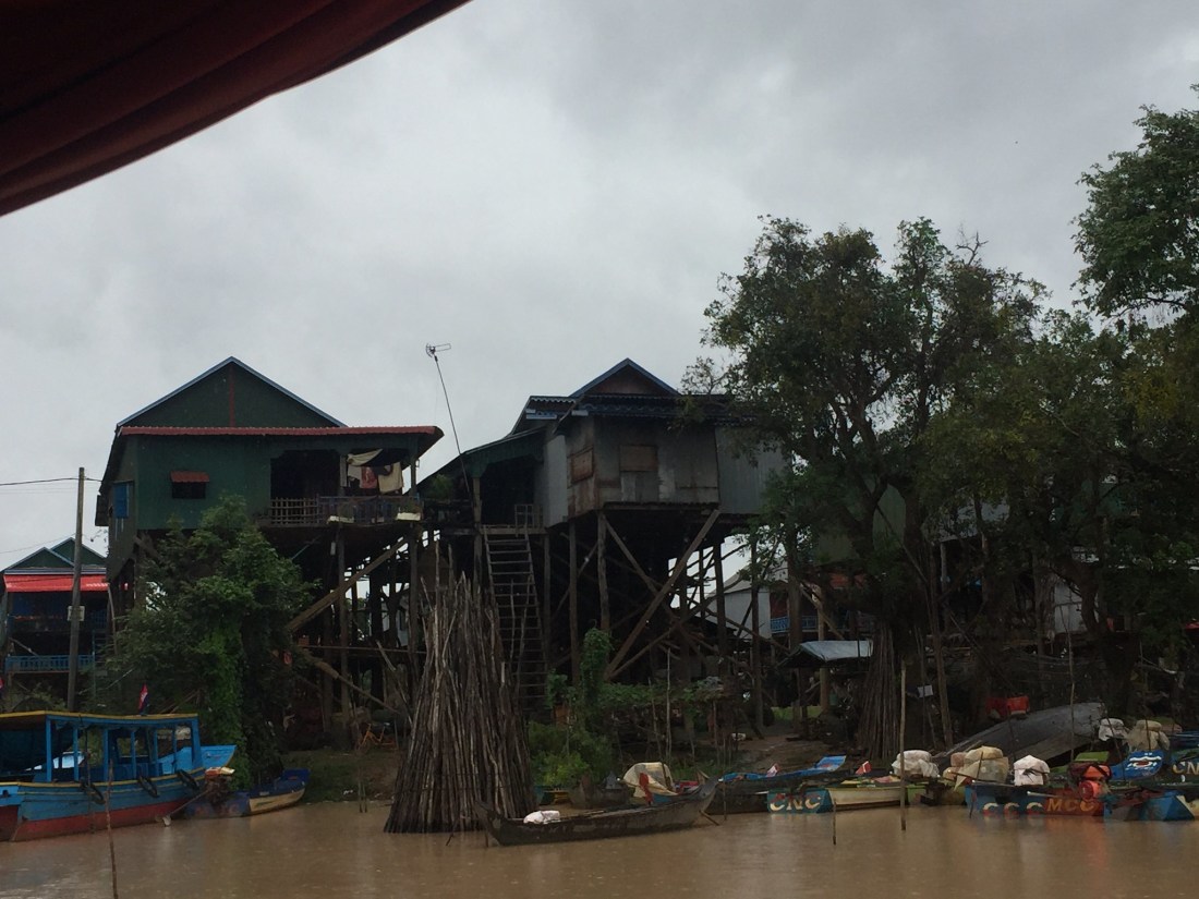 48712536832_7bfc320bc0_k