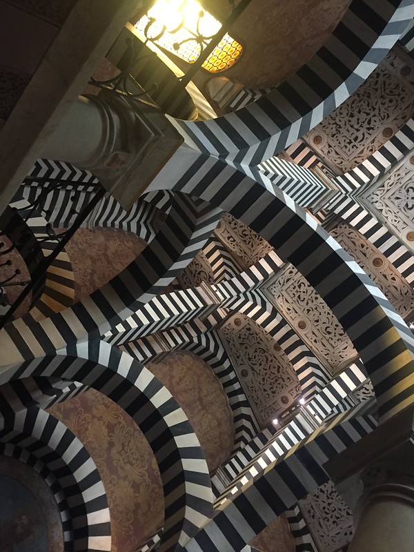 49574543272_47a071b143_c